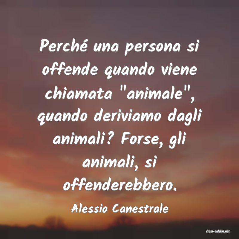 frasi di  Alessio Canestrale
