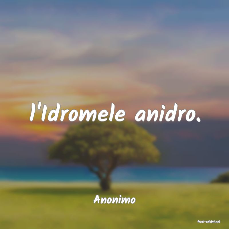 frasi di  Anonimo
