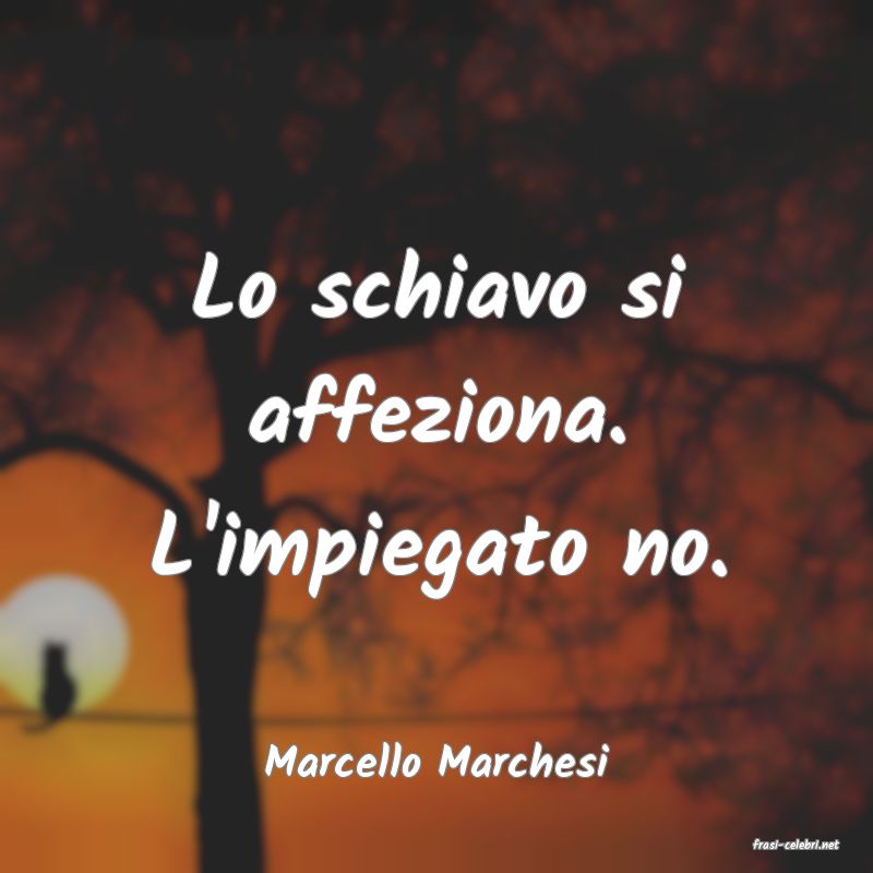 frasi di  Marcello Marchesi
