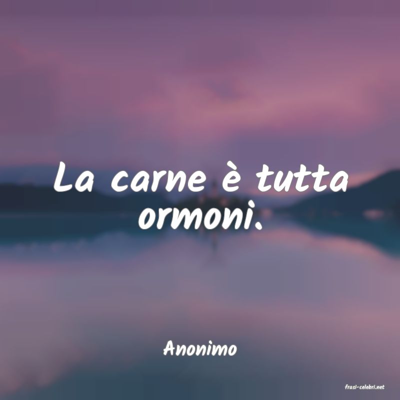 frasi di  Anonimo
