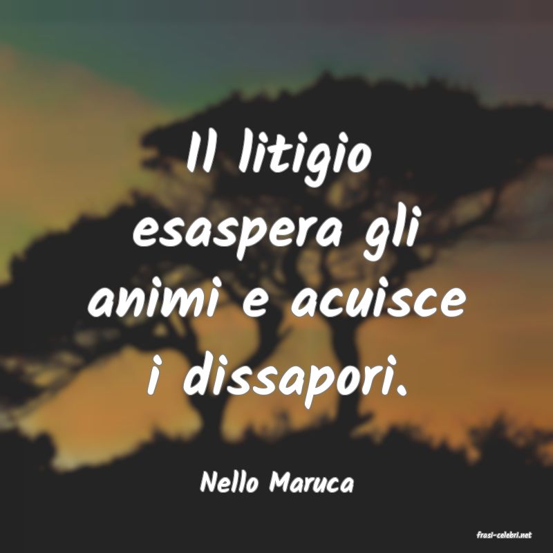 frasi di  Nello Maruca
