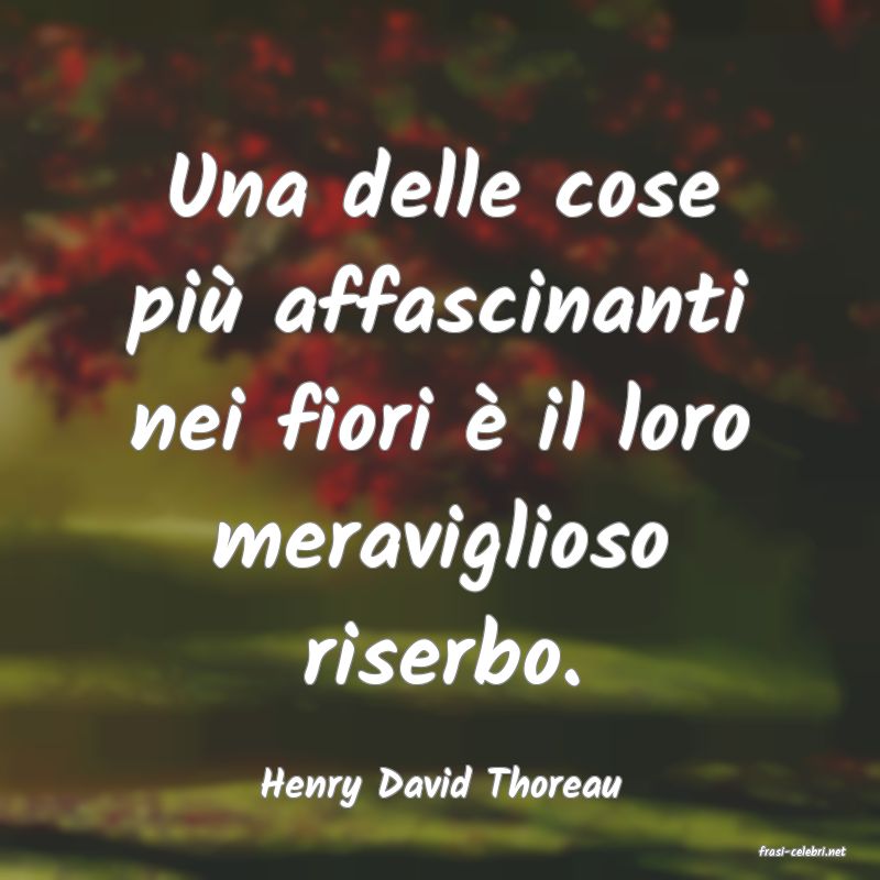 frasi di Henry David Thoreau