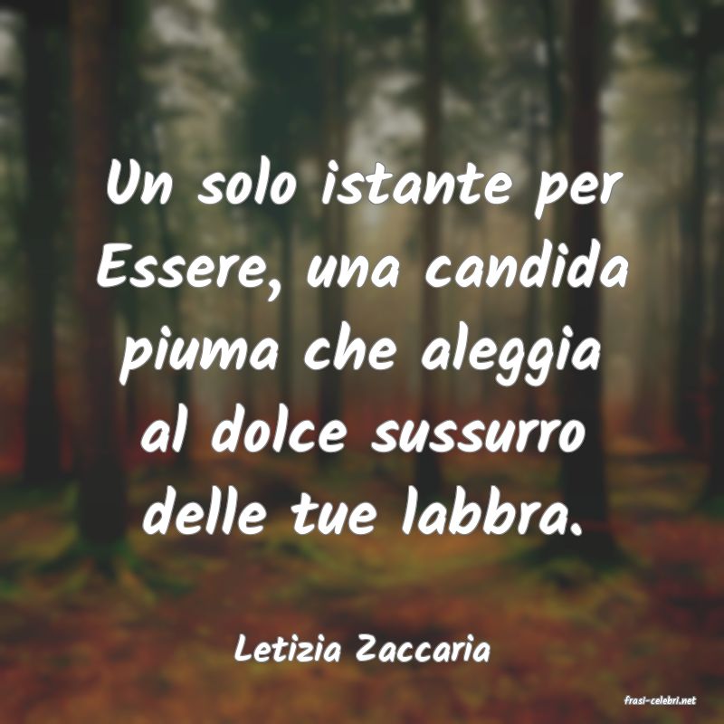 frasi di Letizia Zaccaria