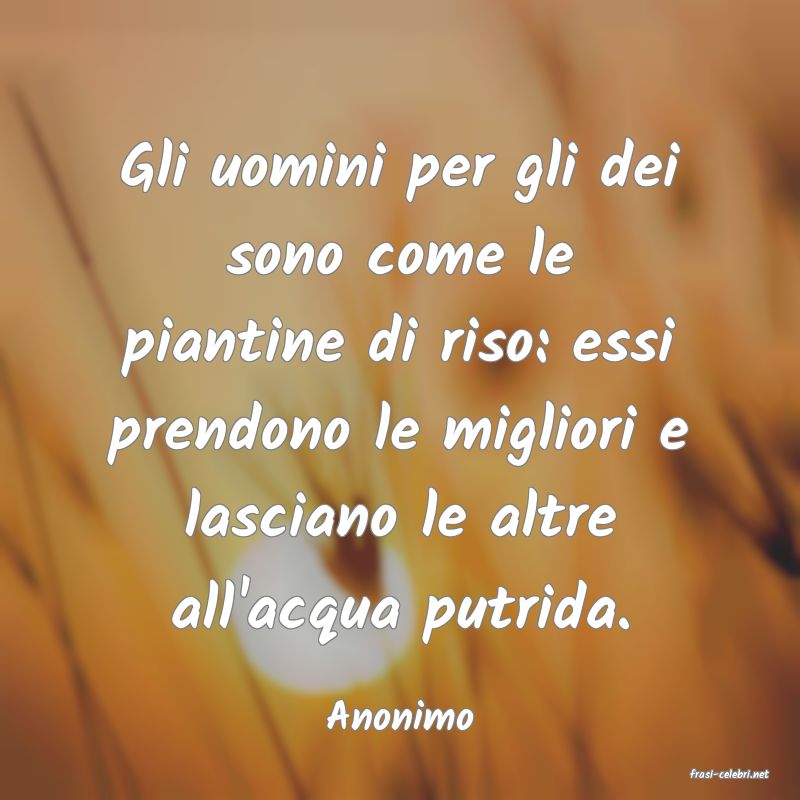 frasi di Anonimo