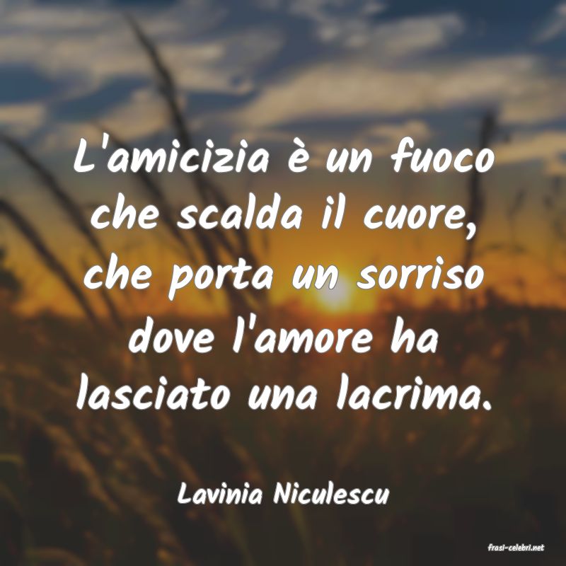 frasi di  Lavinia Niculescu
