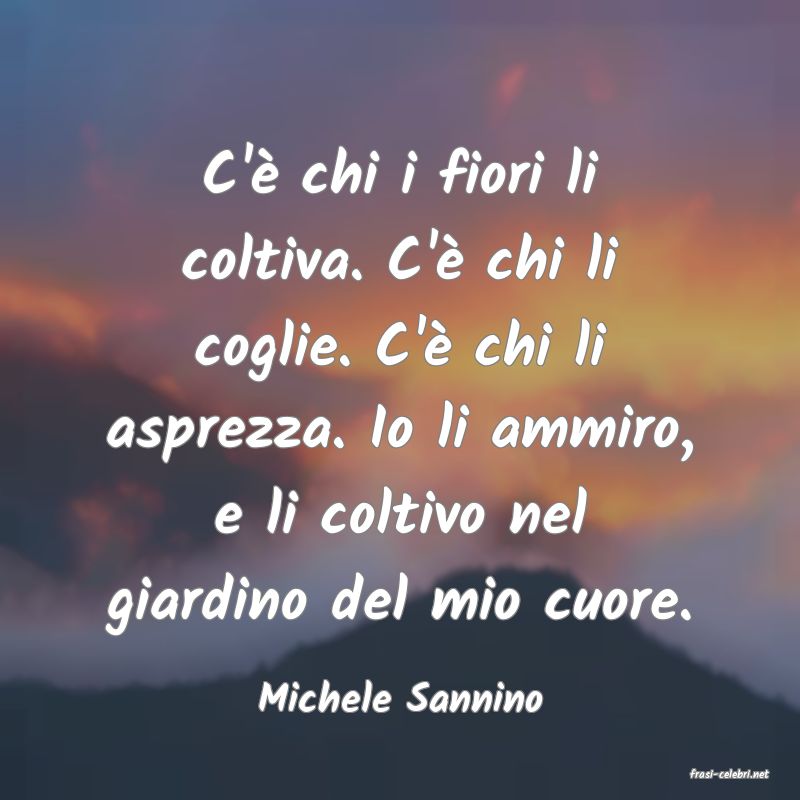 frasi di  Michele Sannino
