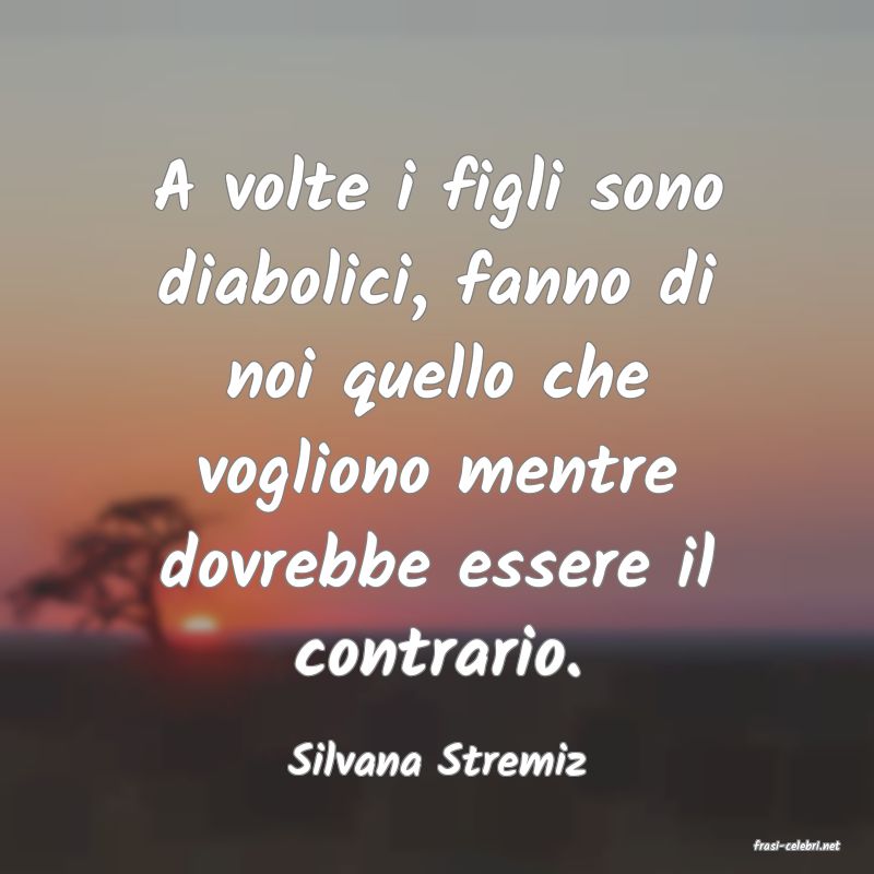 frasi di  Silvana Stremiz
