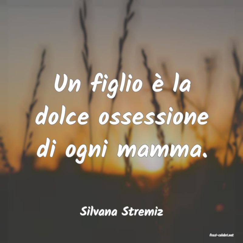 frasi di  Silvana Stremiz
