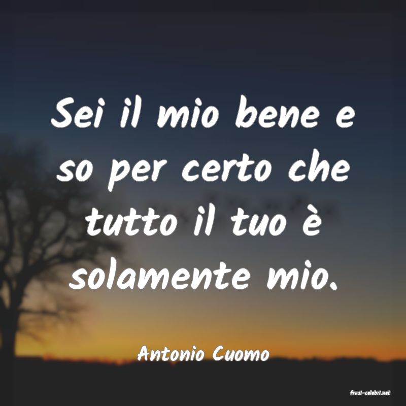 frasi di  Antonio Cuomo
