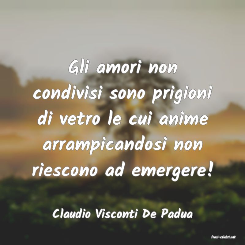 frasi di  Claudio Visconti De Padua
