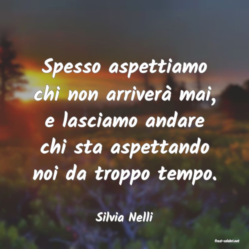 frasi di  Silvia Nelli
