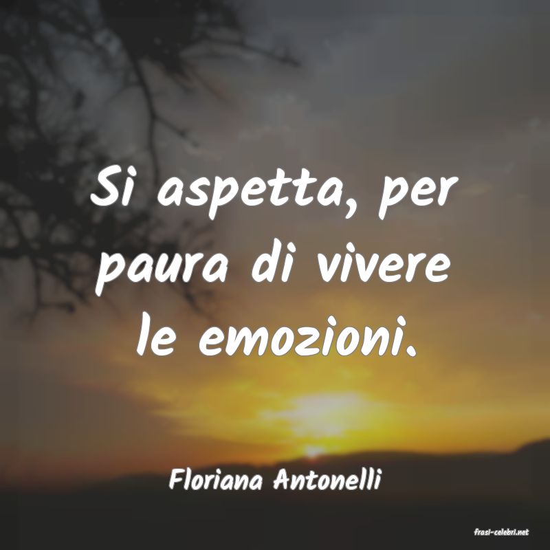 frasi di  Floriana Antonelli
