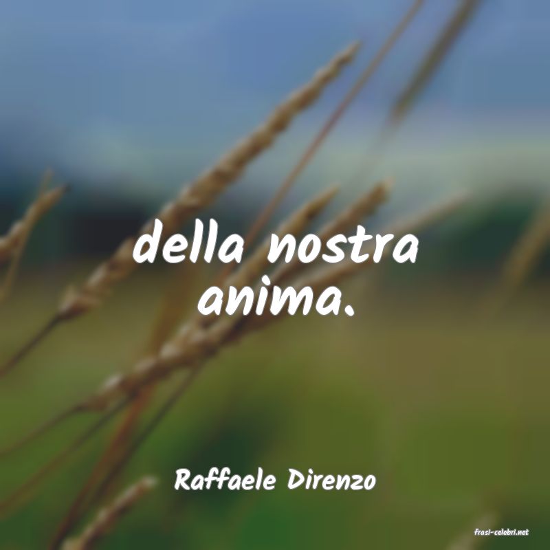 frasi di  Raffaele Direnzo
