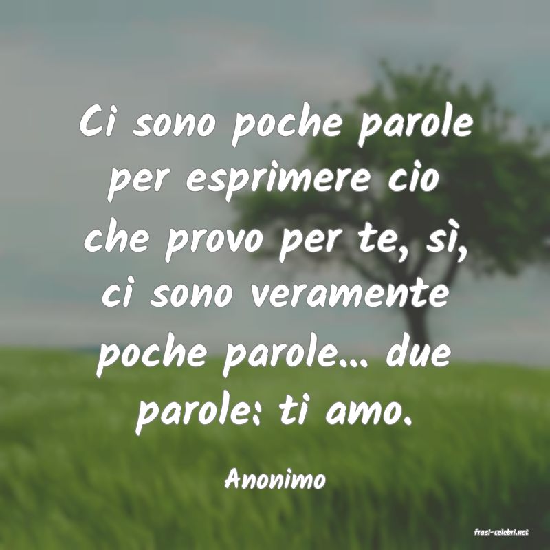 frasi di  Anonimo
