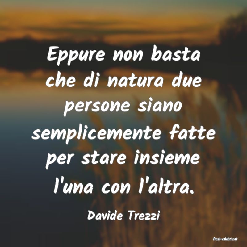 frasi di  Davide Trezzi
