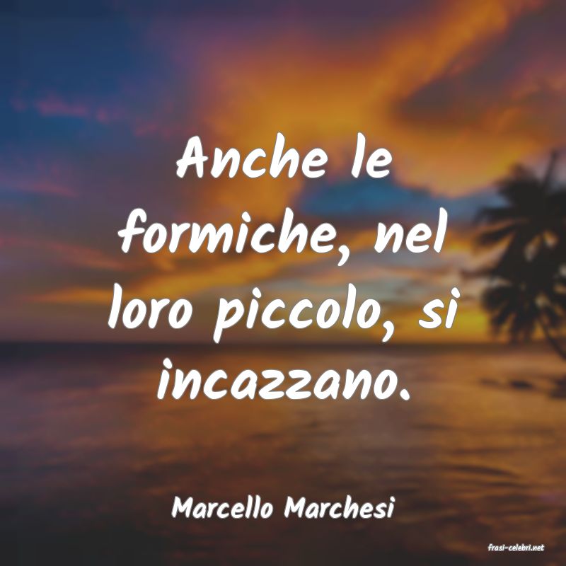 frasi di Marcello Marchesi