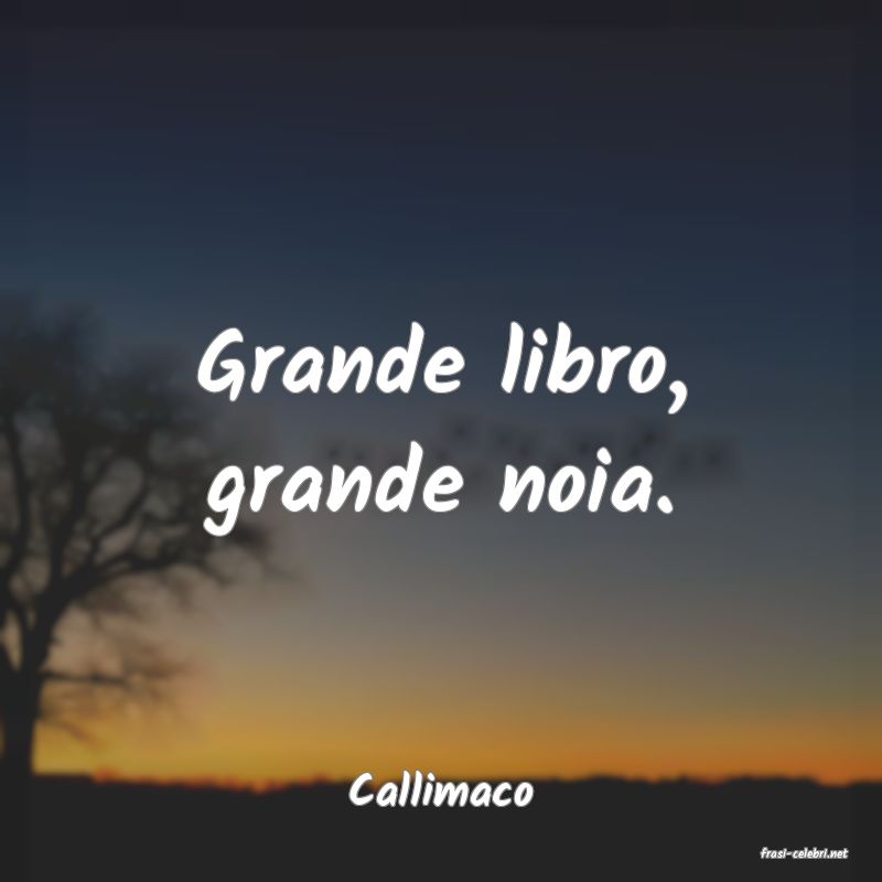 frasi di Callimaco