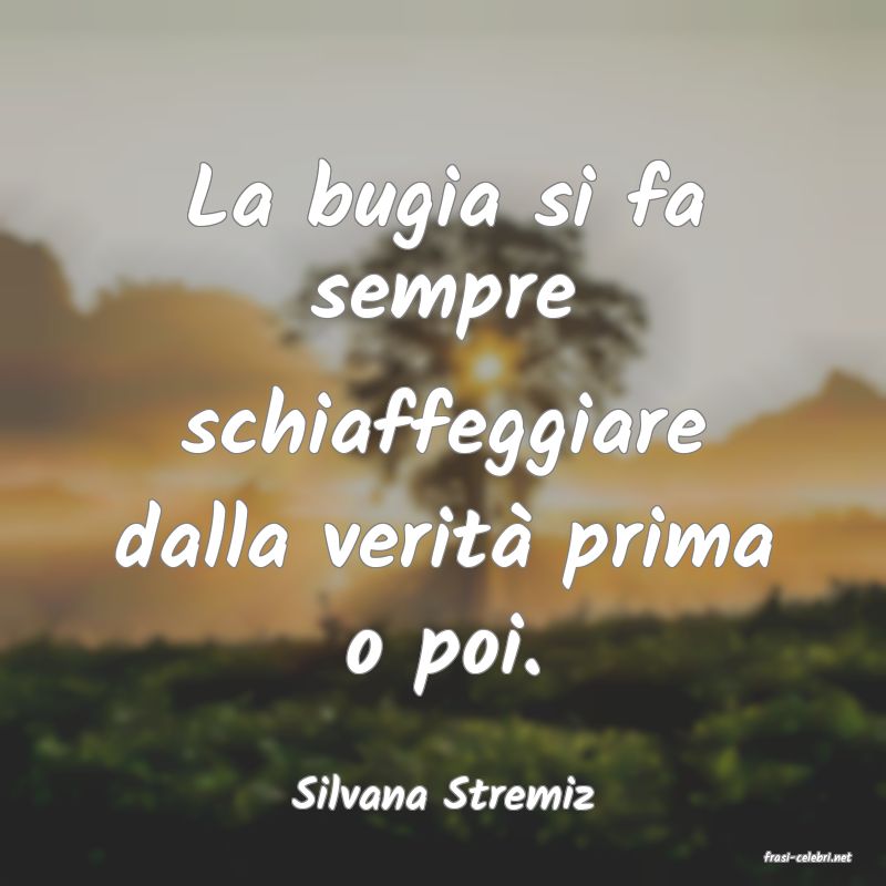 frasi di Silvana Stremiz