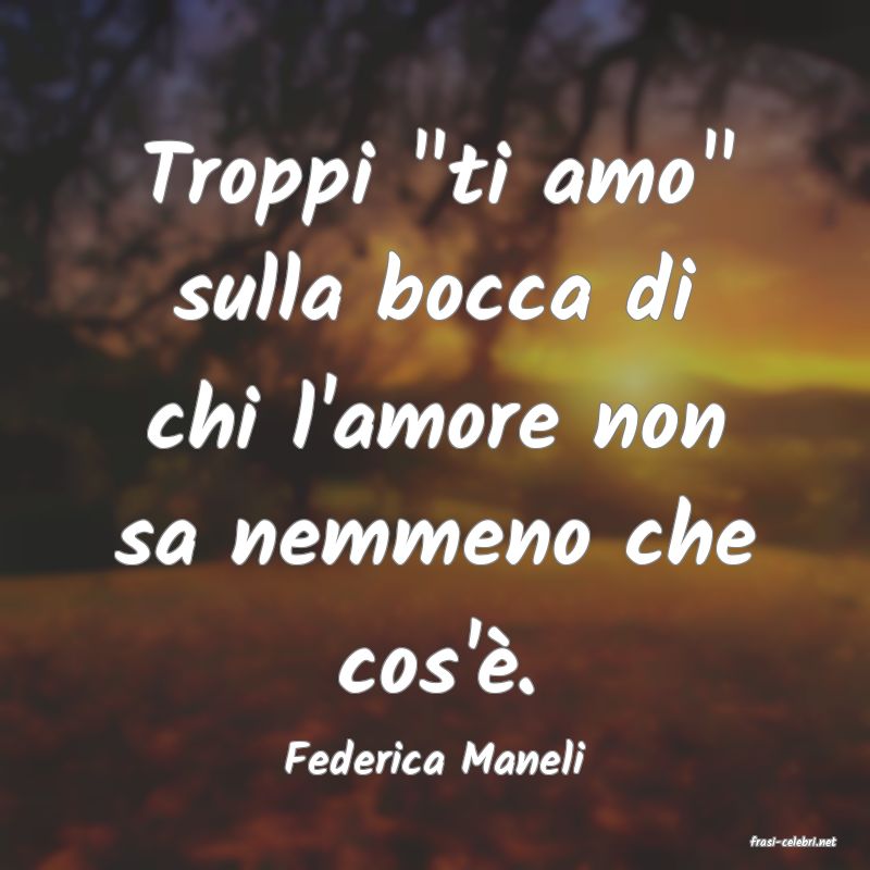 frasi di  Federica Maneli
