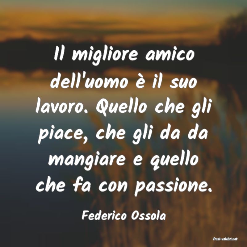frasi di  Federico Ossola
