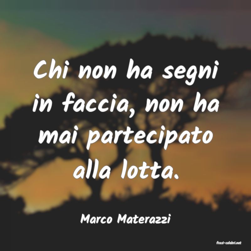 frasi di  Marco Materazzi

