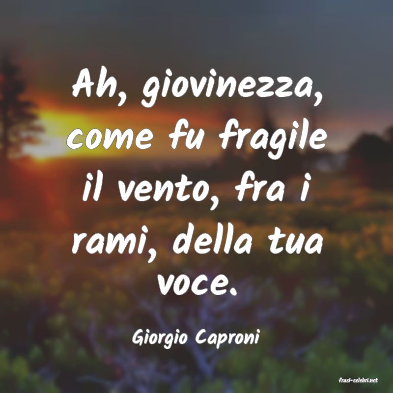 frasi di  Giorgio Caproni
