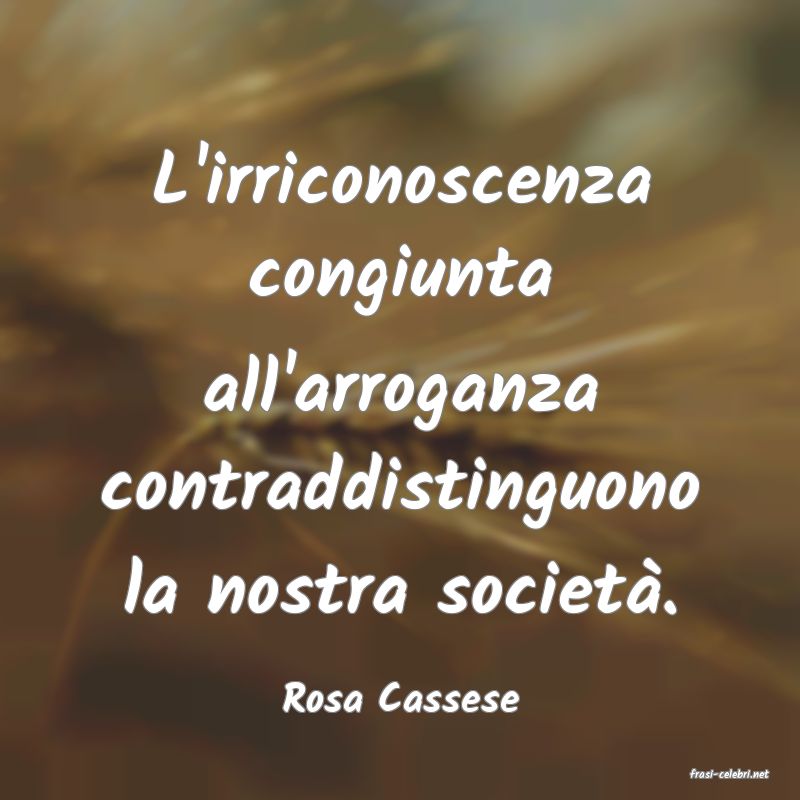 frasi di  Rosa Cassese
