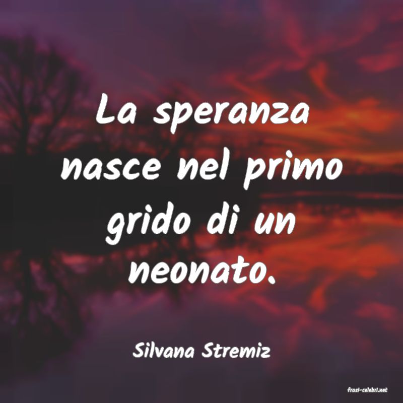 frasi di  Silvana Stremiz

