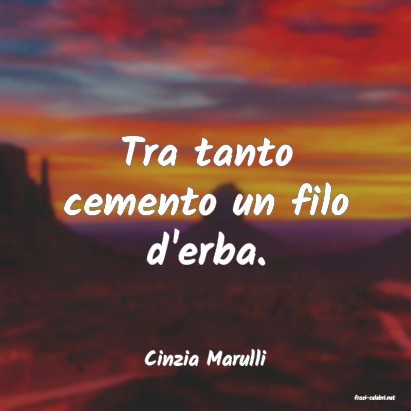 frasi di  Cinzia Marulli
