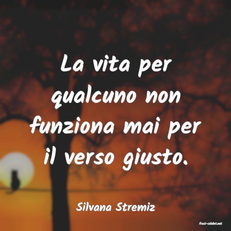 frasi di Silvana Stremiz