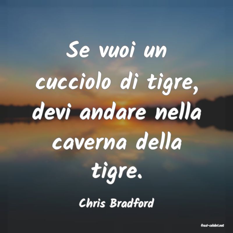 frasi di  Chris Bradford
