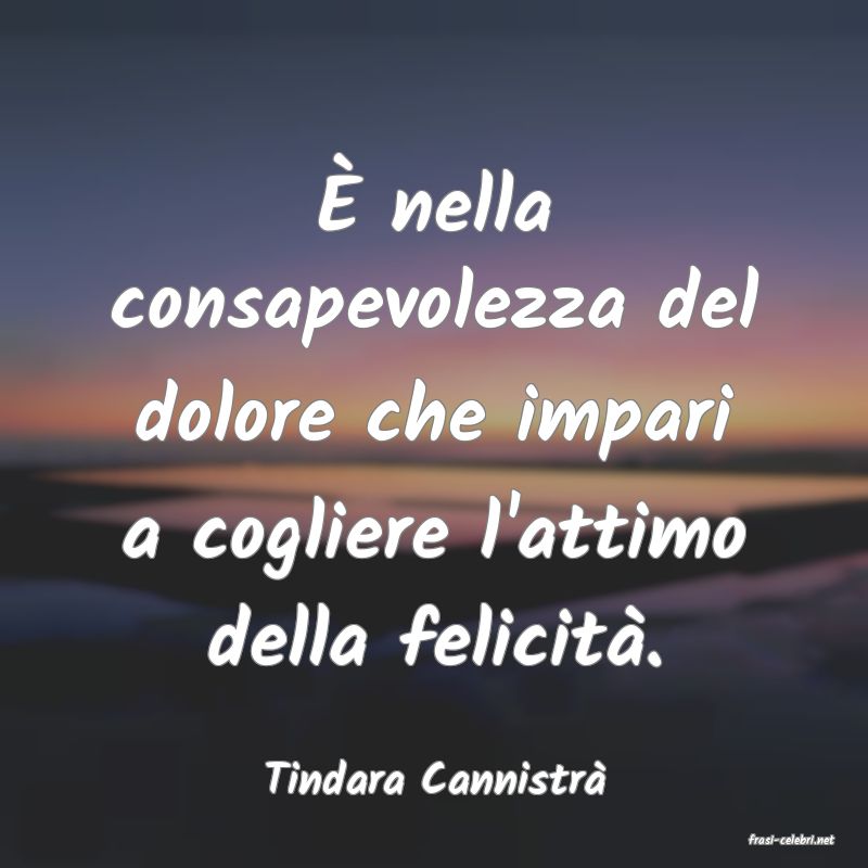 frasi di Tindara Cannistr