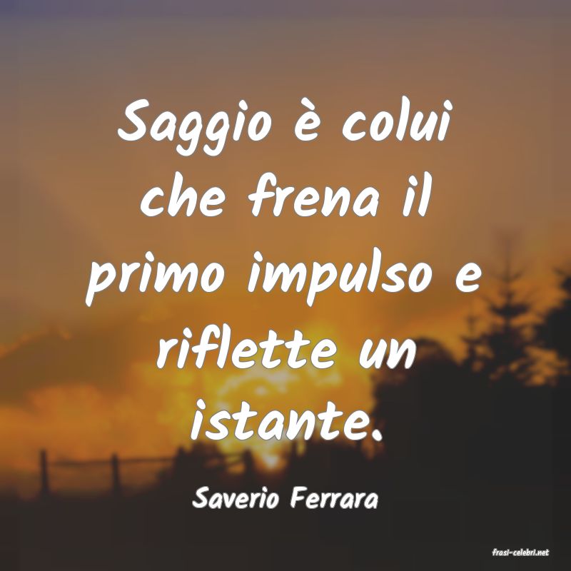 frasi di  Saverio Ferrara

