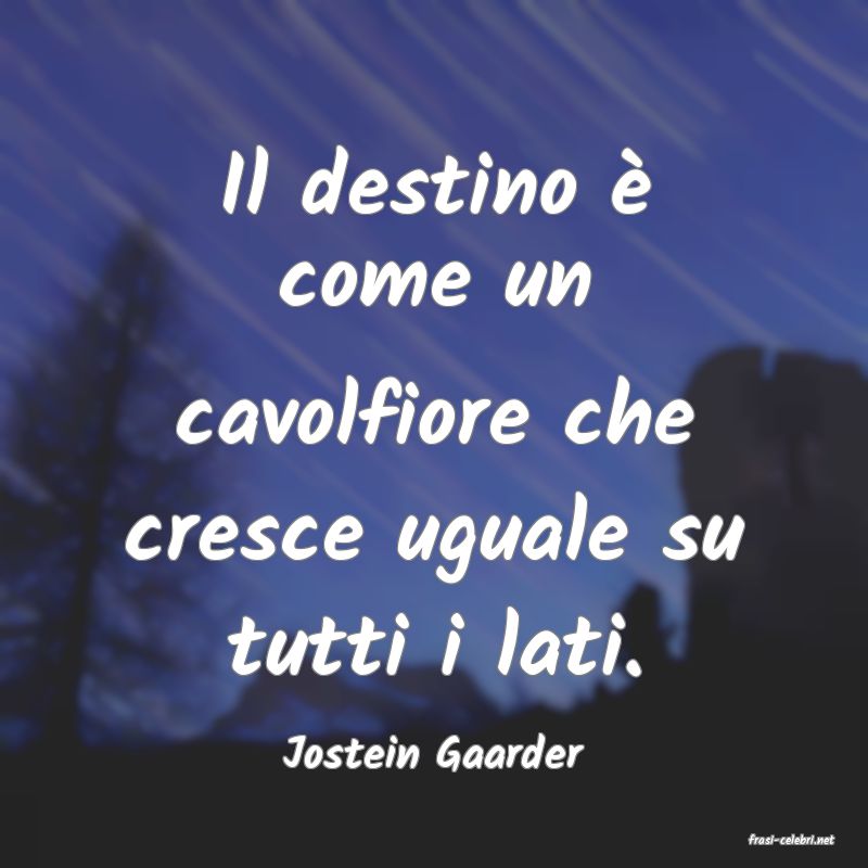frasi di  Jostein Gaarder
