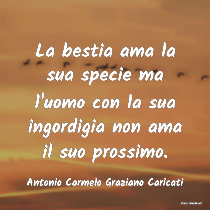 frasi di  Antonio Carmelo Graziano Caricati

