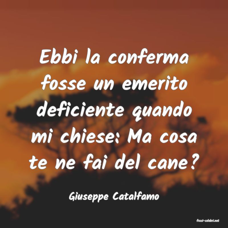 frasi di  Giuseppe Catalfamo
