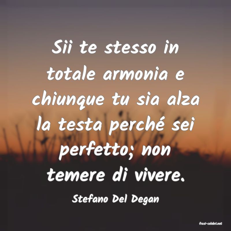 frasi di  Stefano Del Degan
