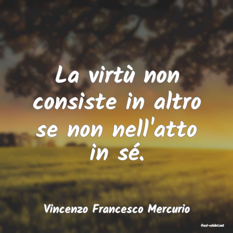 frasi di Vincenzo Francesco Mercurio