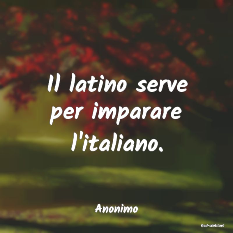 frasi di Anonimo
