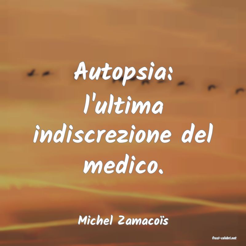 frasi di Michel Zamaco�s