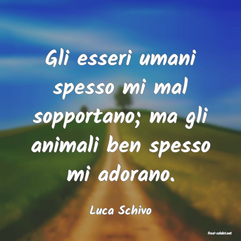 frasi di  Luca Schivo
