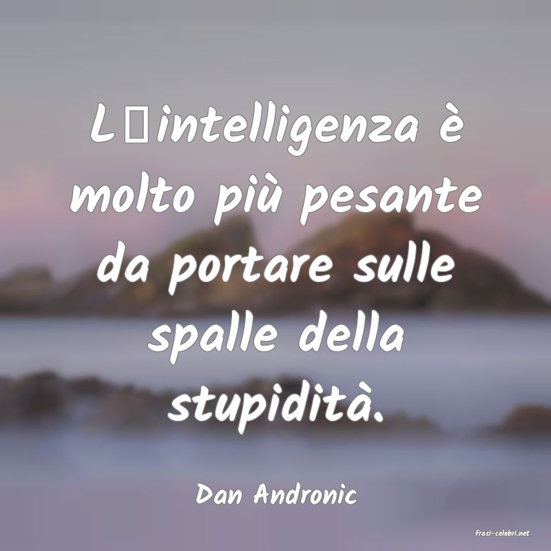 frasi di Dan Andronic