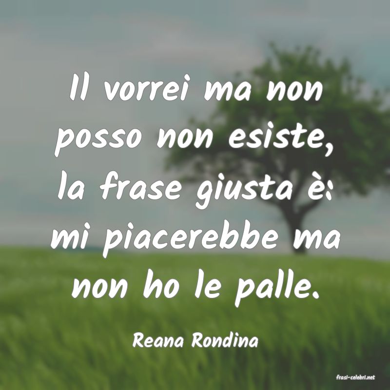 frasi di  Reana Rondina
