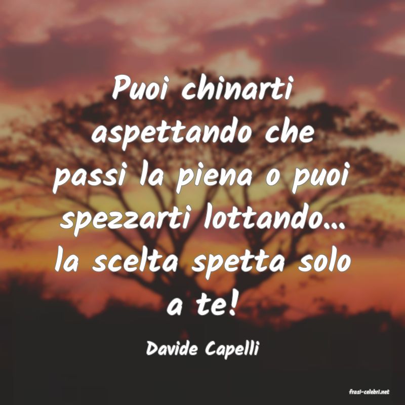 frasi di  Davide Capelli
