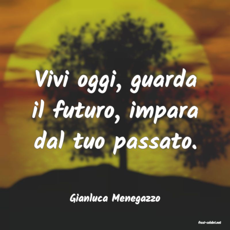 frasi di  Gianluca Menegazzo
