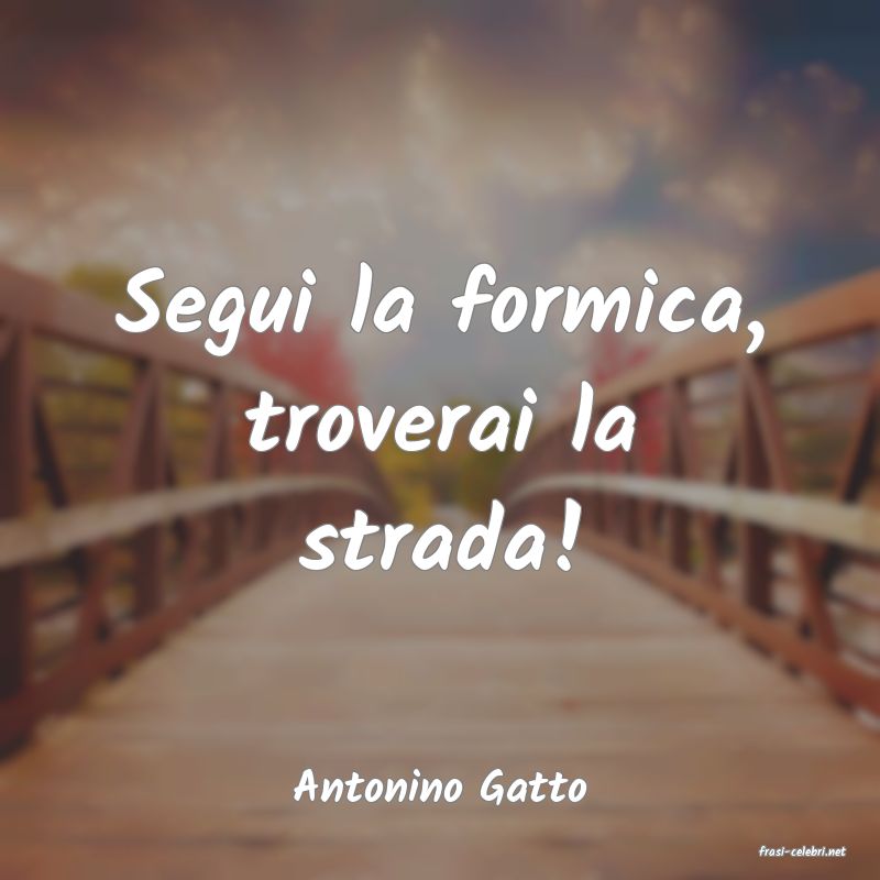 frasi di Antonino Gatto