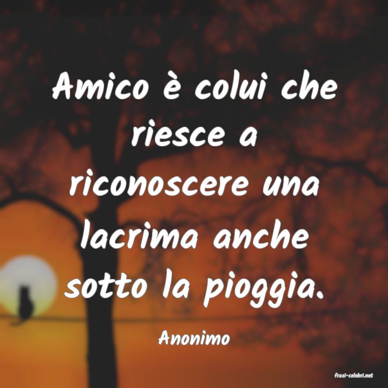 frasi di  Anonimo
