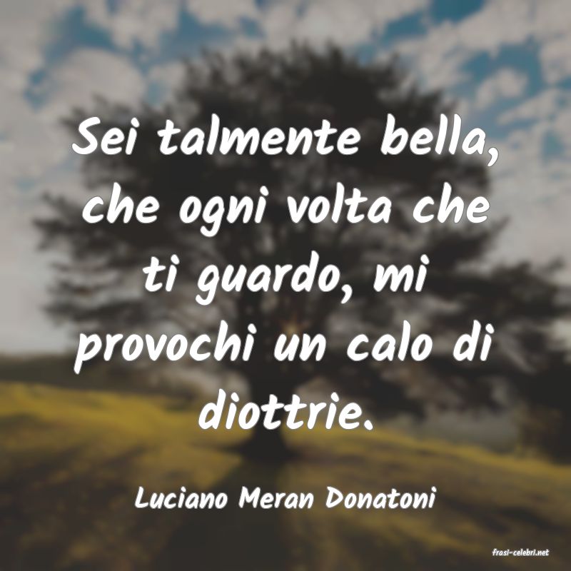 frasi di  Luciano Meran Donatoni

