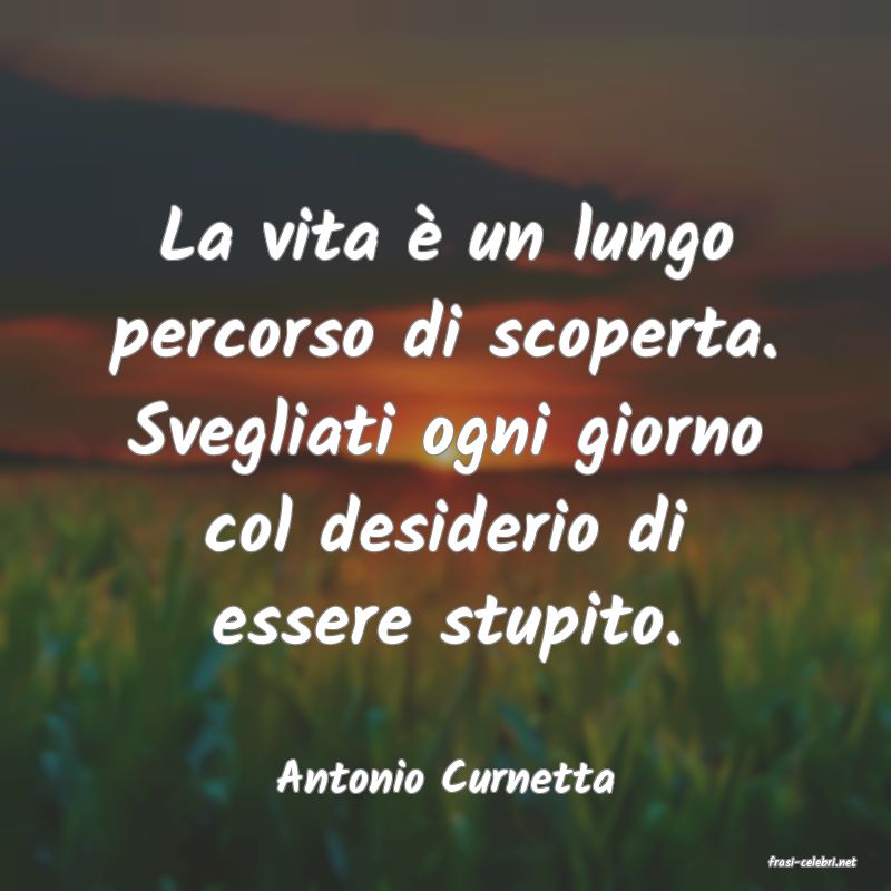frasi di  Antonio Curnetta

