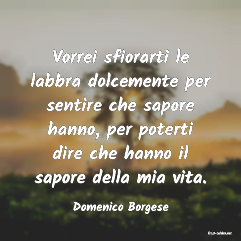 frasi di  Domenico Borgese
